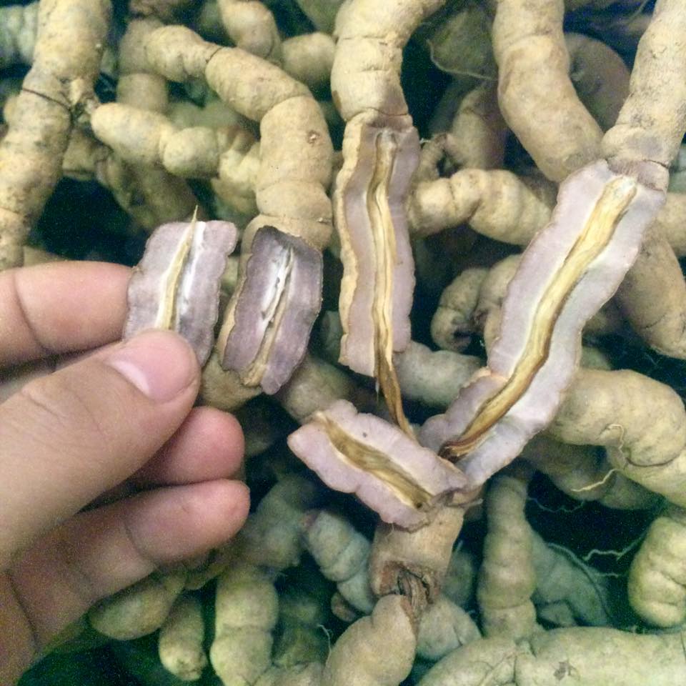 Củ ba kích ,1kg củ ba kích tím tươi , đã làm sạch