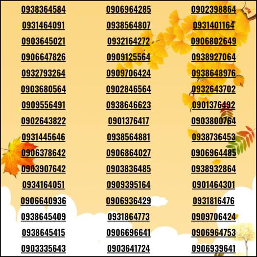 Sim đẹp mừng XUÂN