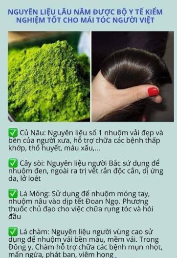 Tinh bột lá cây rừng nhuộm tóc bạc YBOME.