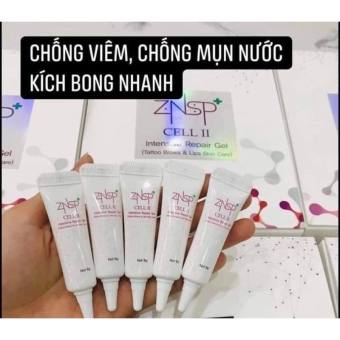 Tế bào gốc znsp