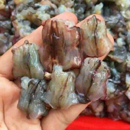 Giá Sỉ Thịt Đầu Tôm Sú