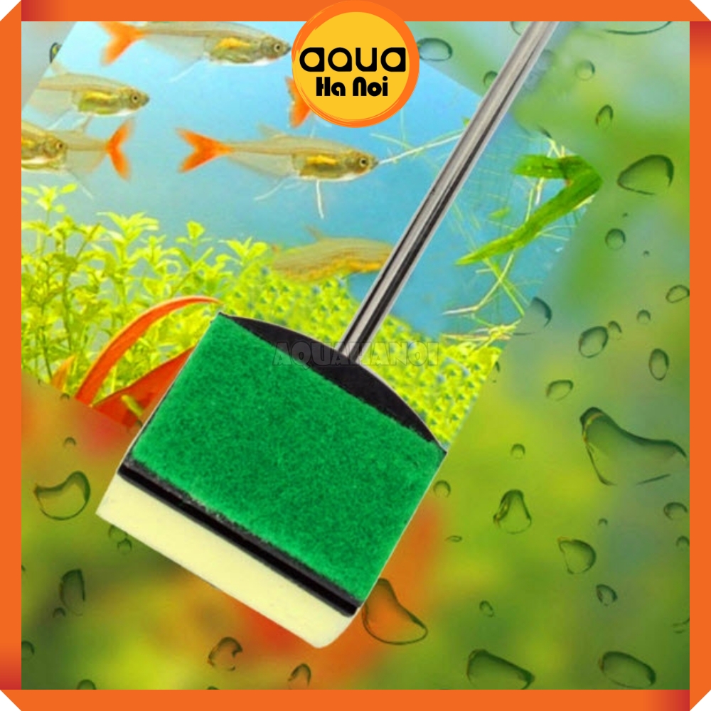 Cây cọ rêu vệ sinh bể cá tép cảnh/ hồ thủy sinh