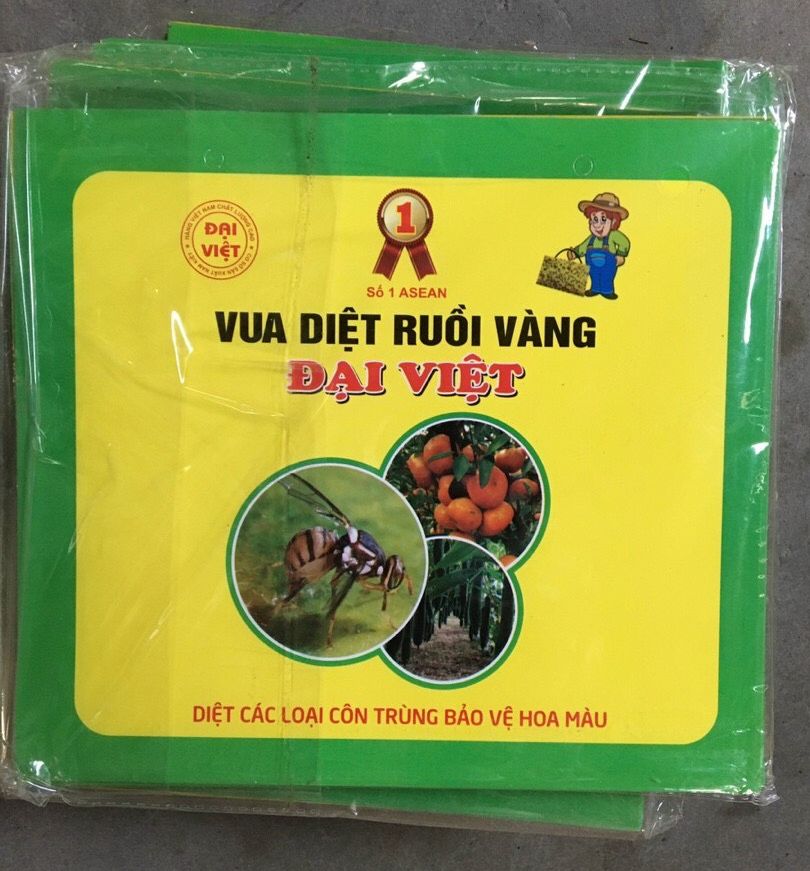 Combo 10 miếng dán bẫy ruồi vàng, bướm, phấn trắng, côn trùng siêu dính