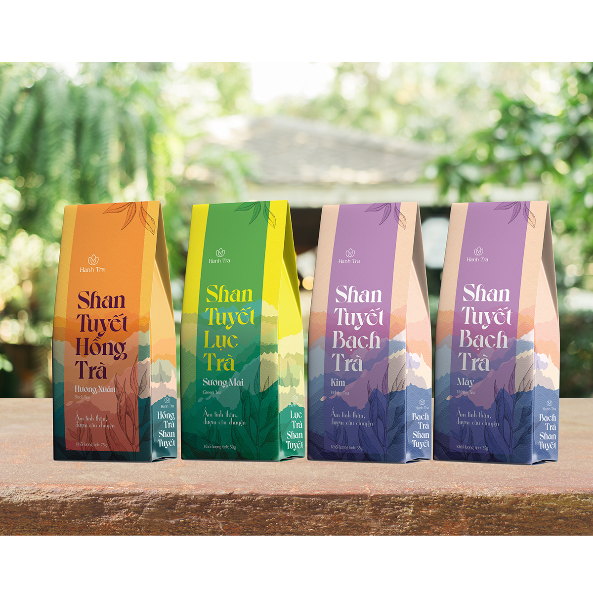 Combo 4 hộp trà shan tuyết cổ thụ Hà Giang size vừa 4 vị Hồng Trà+Bạch Trà Kim+Trà Xanh+Bạch Trà Mây Chè San Tuyết Trà Shang Tuyết