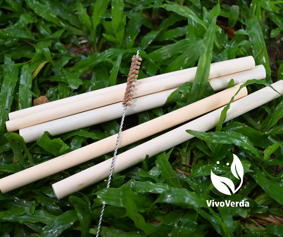 Ống hút tre VivoVerda, set ống hút tre và cọ rửa, đầu ống được bo mài kỹ, chất liệu tre an toàn cho sức khoẻ và thân thiện với môi trường