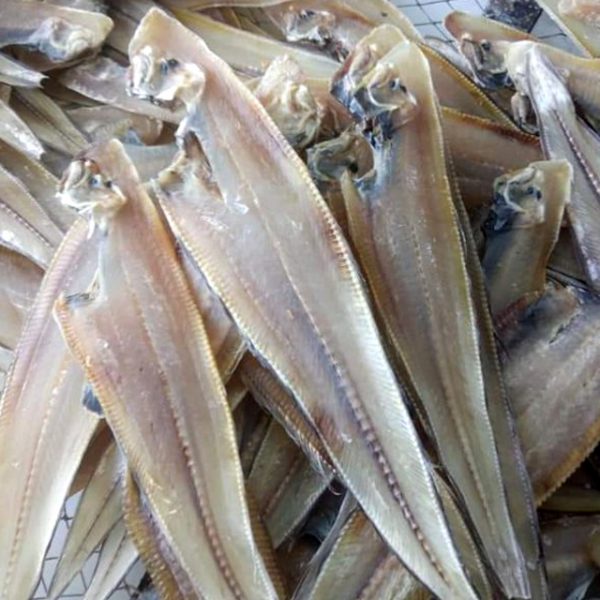 Khô cá lưỡi trâu cà mau- đậm đà hương vị quê hương- vựa khô tú sương phân loại 250gram, 500gram, 1kg