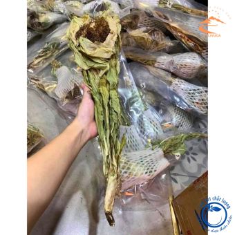 Thiên sơn tuyết liên hoa, hoa sen tuyết Tây Tạng khô (1 bông 25 - 30g). Hoa tuyết liên sơn giúp bồi bổ sinh lực, tăng cường khí huyết