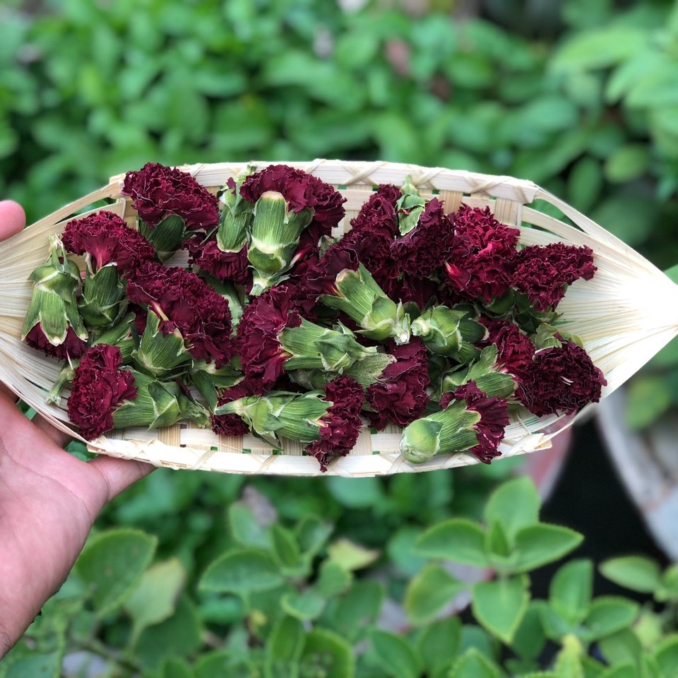 Trà hoa cẩm chướng Salem 100g