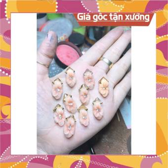 Hoa bột nail (hoa thược dược ôm đá) hoa bột giá sỉ