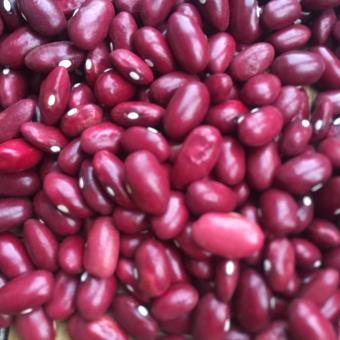 Đậu đỏ Đà Lạt( đậu nhà trồng) 500gr