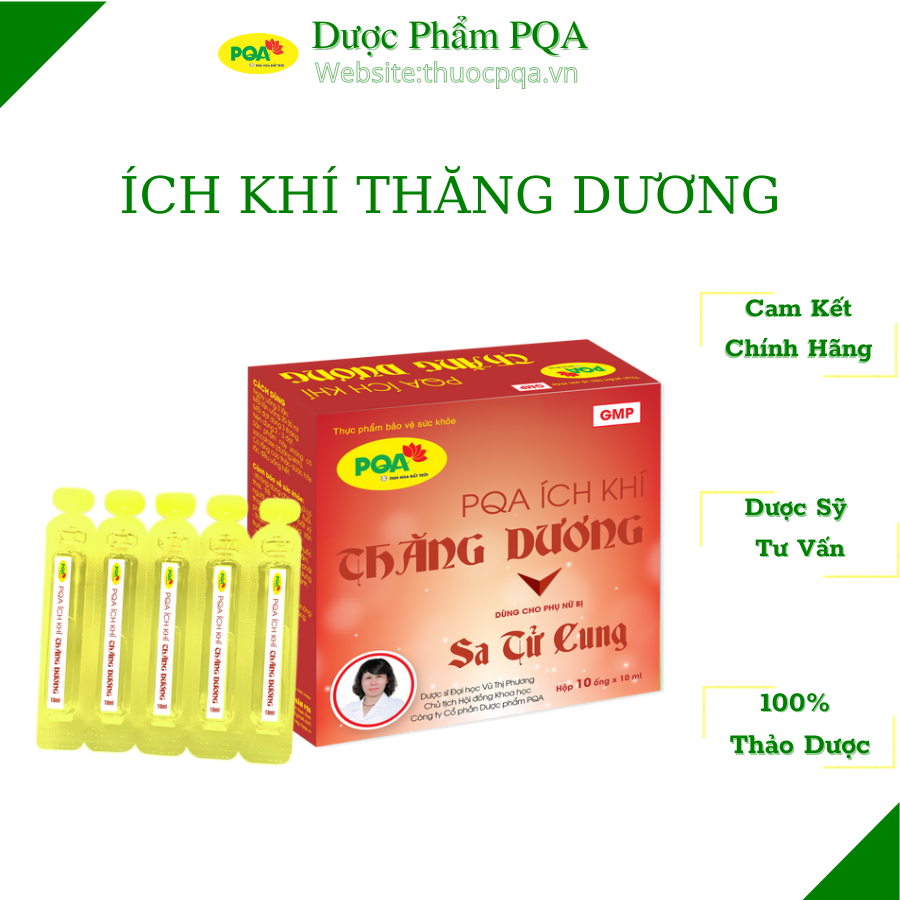 Combo 3 hộp sa tử cung - ích khí thăng dương pqa