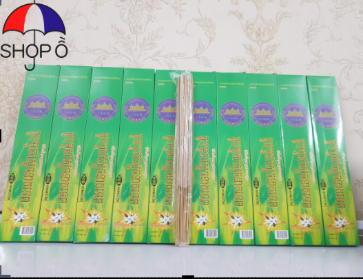 10 Hộp nhang muỗi CPDM (dạng thanh)