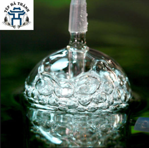 Cốc Sủi Oxy Chống Văng Nước Cho Bể Cá Cảnh Bể Thủy Sinh