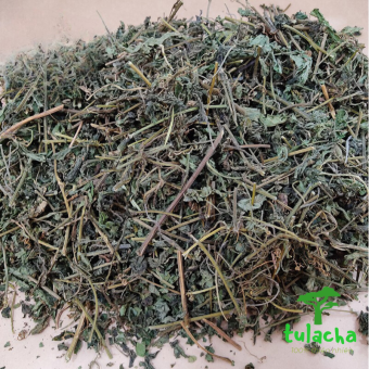 Trà Giảo cổ lam Sapa 7 lá giúp hạ huyết áp, Giảo cổ lam sấy khô thơm ngon sạch 100% thu hái rừng tự nhiên Gói 1kg.