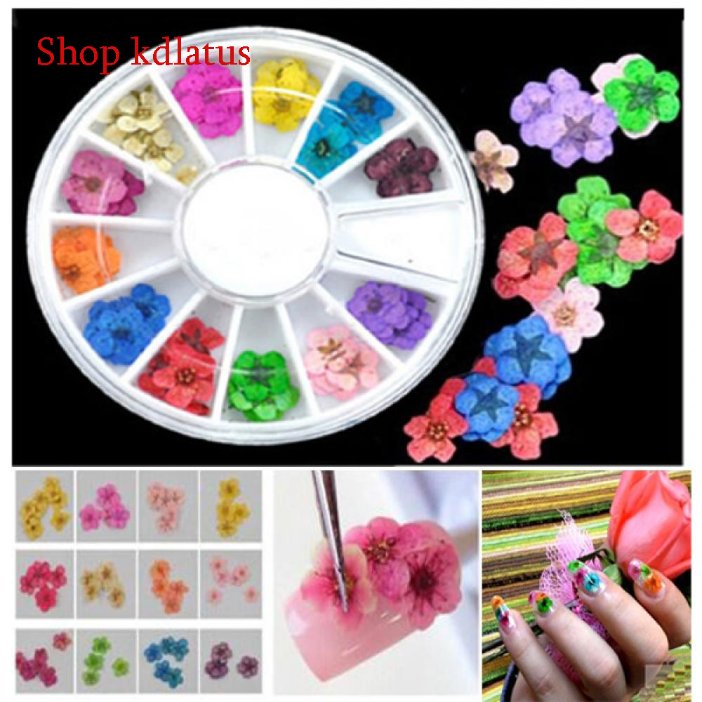 Khay hoa tròn đắp ẩn gel chăm sóc trang trí móng làm nail theo phong cách hàn quốc