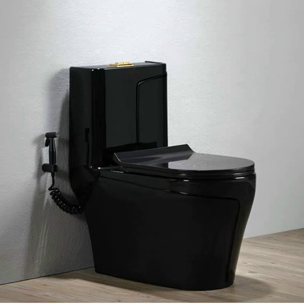 Bồn cầu 1 khối màu đen bóng thiết kế sang trọng