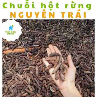 Chuối hột rừng Tây Bắc, chuối rừng tự nhiên 1kg