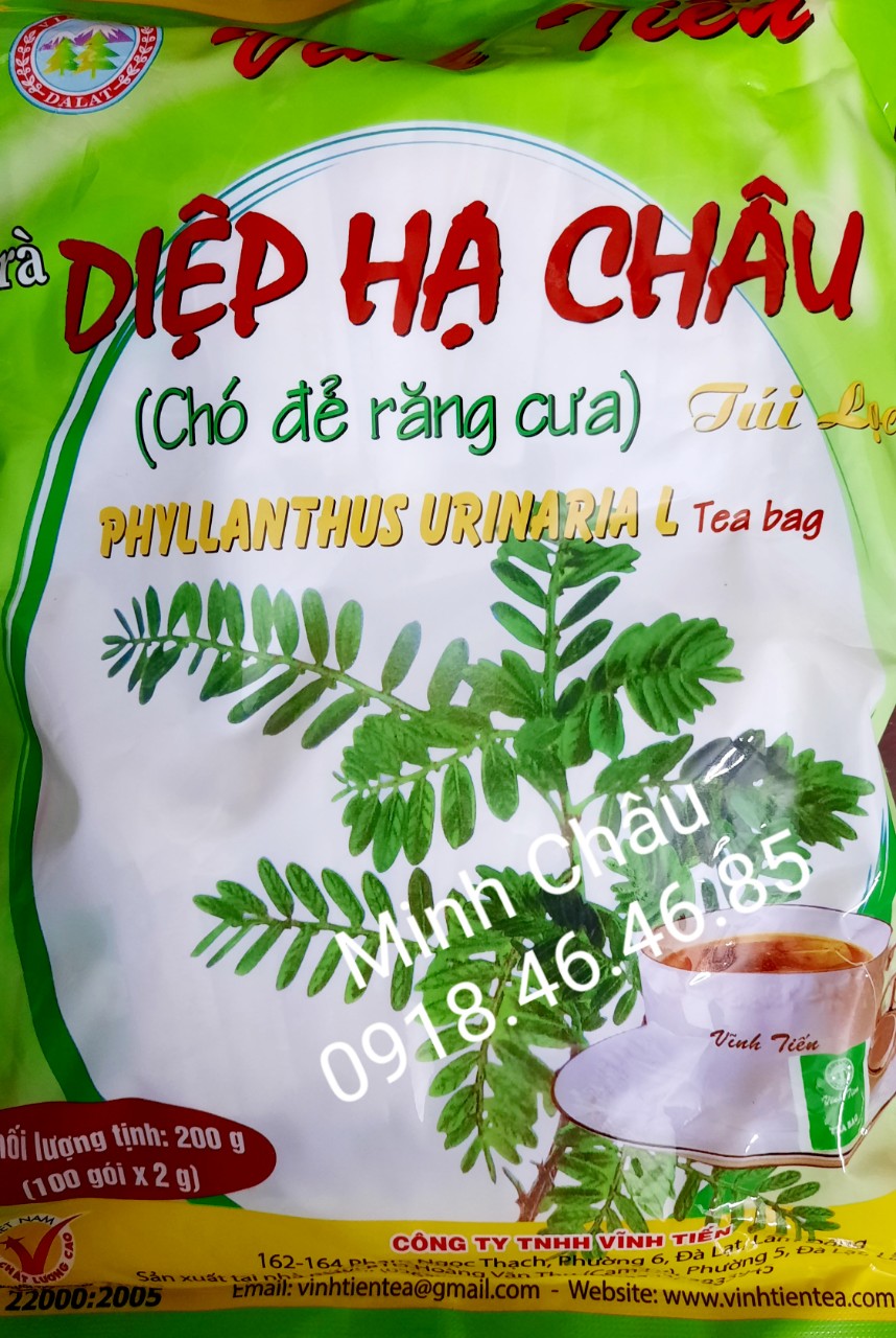 Chính hãng trà diệp hạ châu vĩnh tiến 100 gói