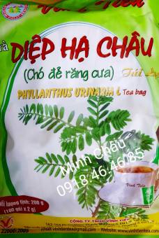 CHÍNH HÃNG TRÀ DIỆP HẠ CHÂU VĨNH TIẾN 100 GÓI