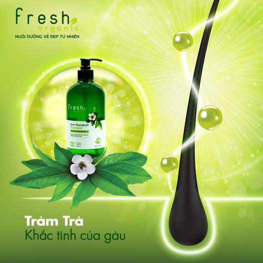 Dầu gội tràm trà Fresh Organic Tea Tree Oil 500g