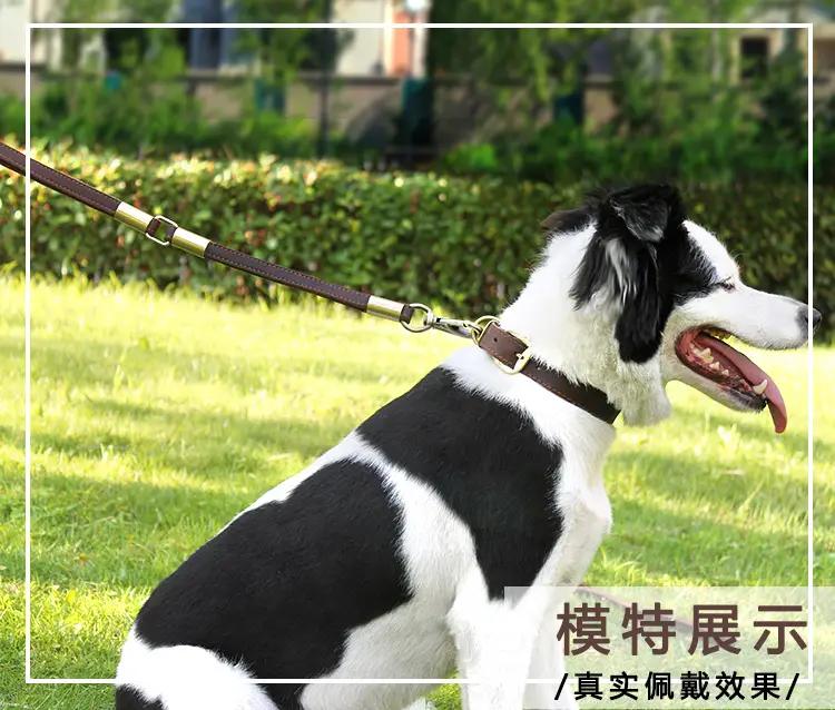 doberman pulling on leash