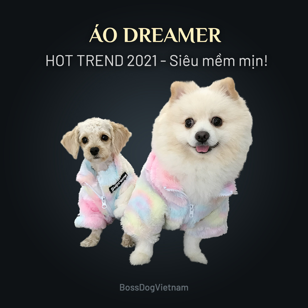 Áo chó mèo cầu vồng Dreamer BossDog