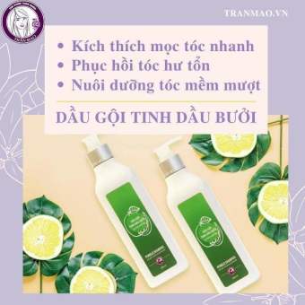 DẦU GỘI TINH DẦU BƯỞI TRẦN MAO