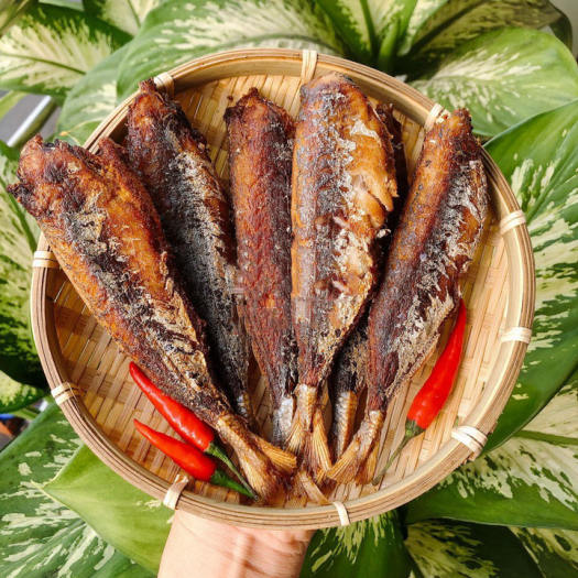 Cá khô kho thịt ba chỉ, Khô cá Nục không đầu đặc sản khô Cà Mau thịt săn chắc, thơm ngon, giàu dinh dưỡng hút chân không túi 1kg,  Thơm ngon, Ăn bao ghiền