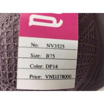 Áo lót nữ Ilina 3525