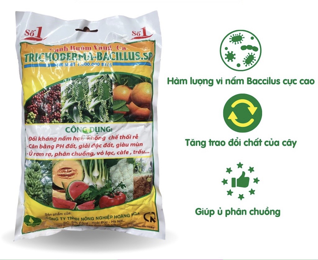 Chế phẩm sinh học trichoderma 1kg - ủ phân chuồng , đối kháng nấm hại , giải độc đất ,giàu mùn