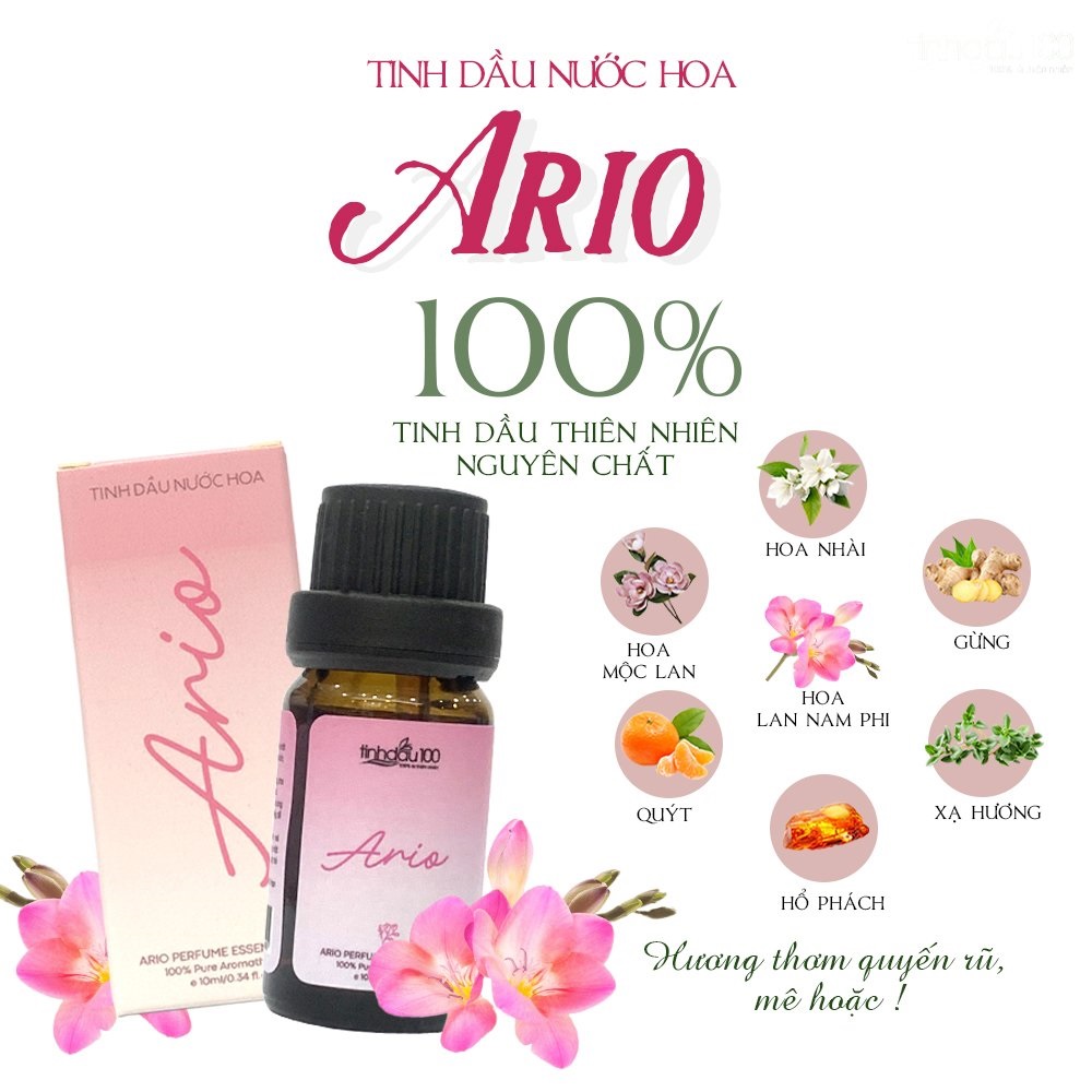Tinh dầu nước hoa Ario xông thơm phòng ngủ, để phòng khách. Mùi lan nam phi +hoa nhài + mộc lan, dung tích 10ml Tinh Dầu 100 Store