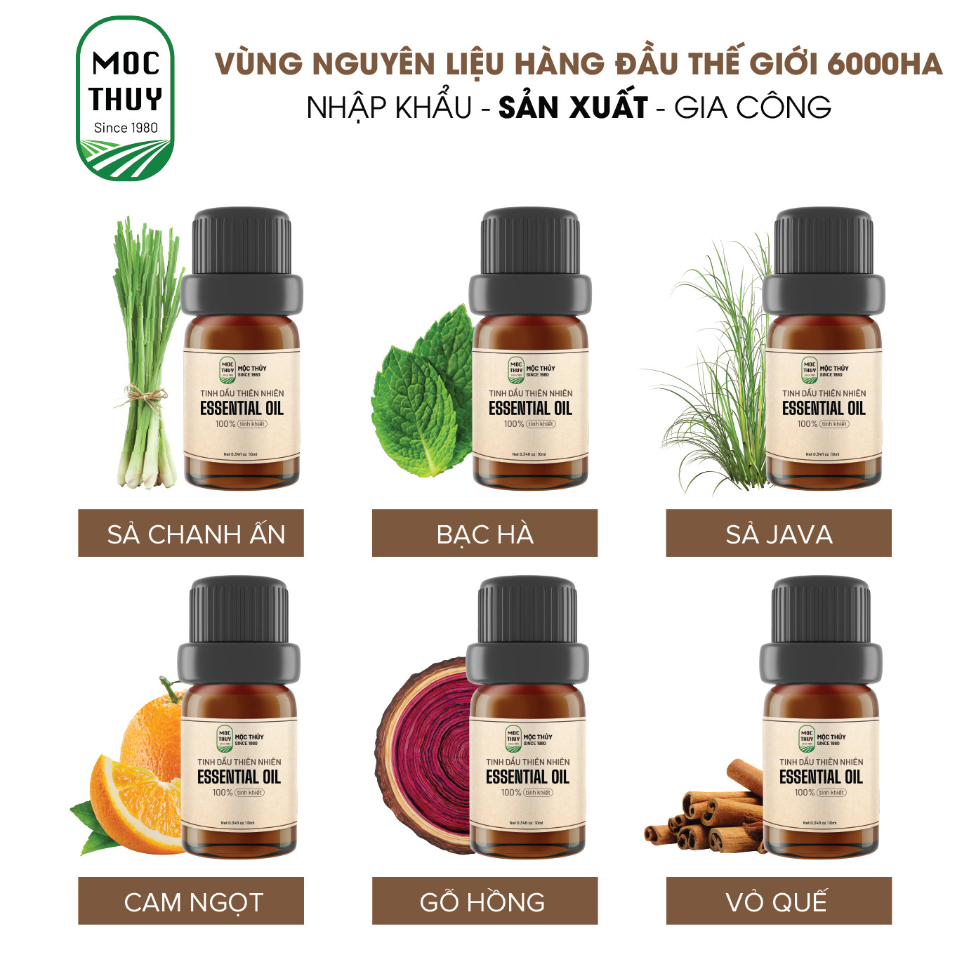 (50 MÙI GIÁ DÙNG THỬ) Tinh dầu thiên nhiên nguyên chất Mộc Thủy 10ML- Essential oil- Đạt chuẩn chất lượng kiểm định