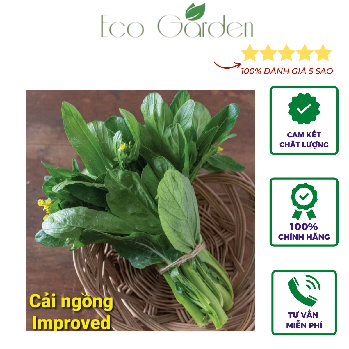 Hạt giống cải ngồng Improved chịu nhiệt nhập Mỹ - Johnny's Seeds
