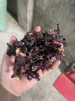 Trà hoa Atiso Đỏ 500GR (hoa Bụp Giấm) sấy khô hàng chuẩn loại 1