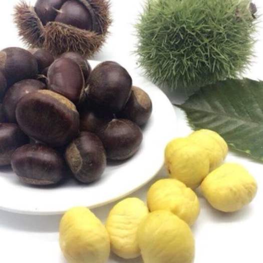 HẠT DẺ NGON Hạt Dẻ tươi sống chế biến các món ăn ngon dinh dưỡng. Đồ ăn vặt