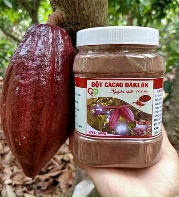 Bột ca cao nguyên chất nhà làm Đaklak 500gr