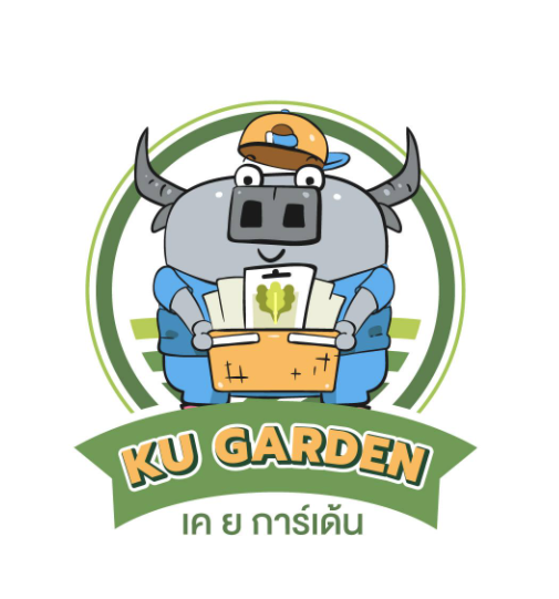 ผักกาดหอม เมล็ดขาว-2