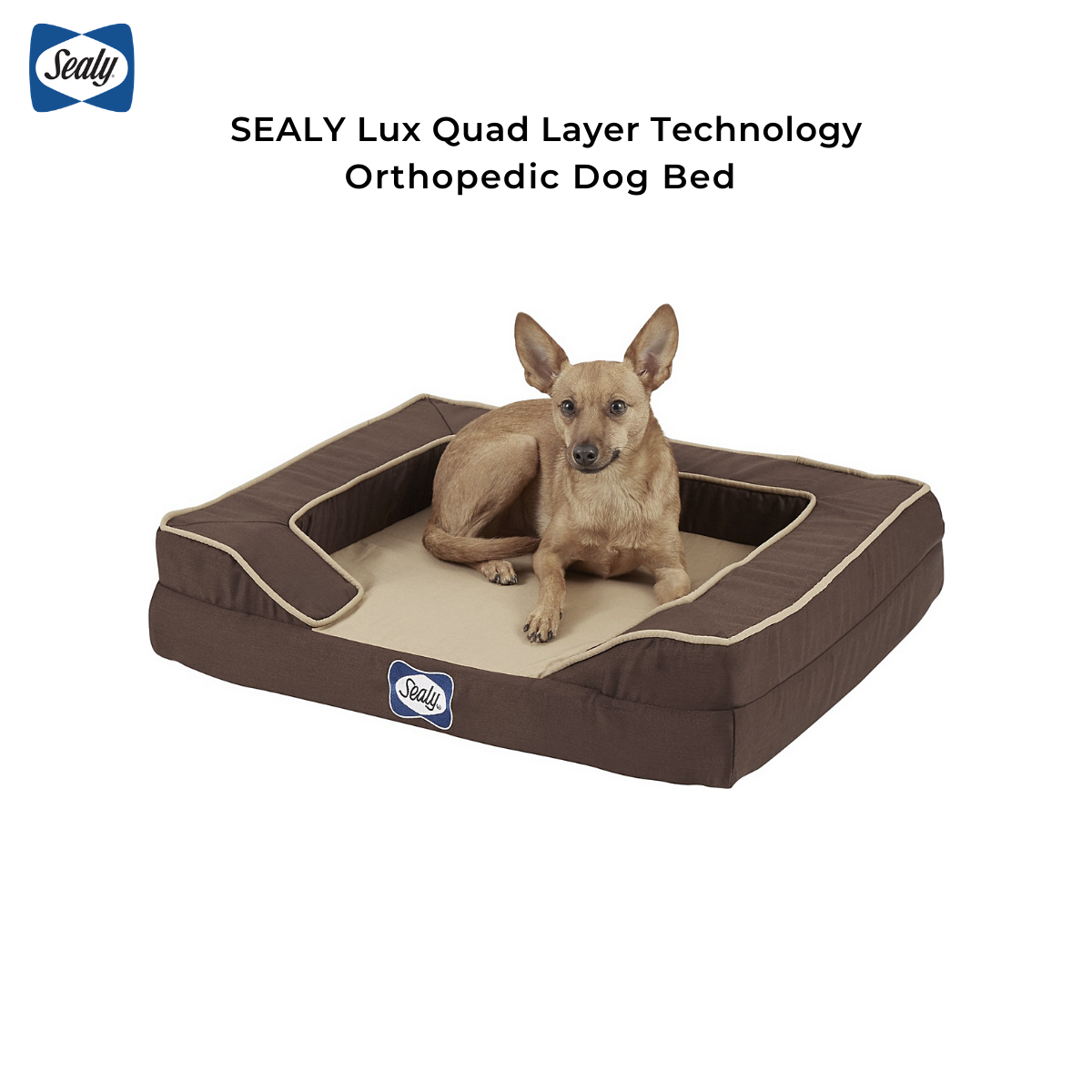 sealy orthopedic dog bed xl