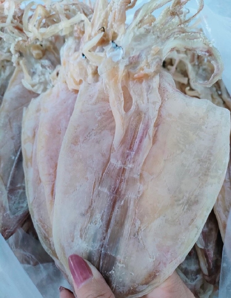 Khô mực loại 1, khô mực loại trung 50con/1kg, túi hút chân không 200gram/500gram/1kg