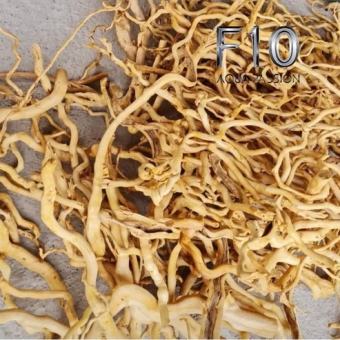 Lũa Đỗ quyên 500G Lũa Chuyên Setup Bể Thuỷ Sinh rất đẹp