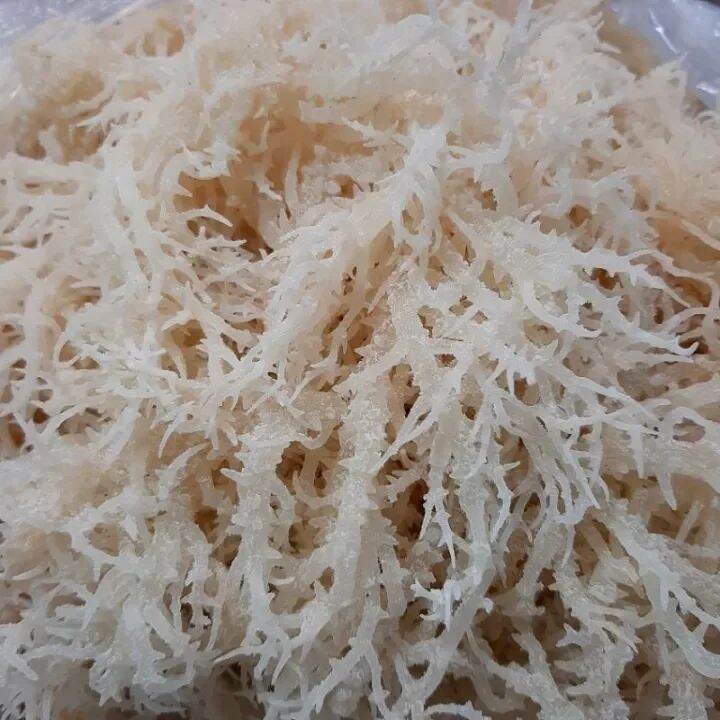 Rong sụn trắng 500 gram