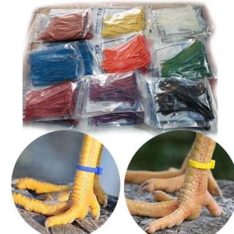 Dây Rút Đánh Dấu Gà