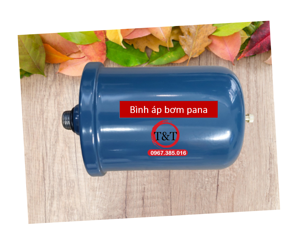 Bình áp máy bơm panasonic, bình 2 lít, bầu tăng áp 2l dùng cho máy bơm pana ren ngoài 20mm.