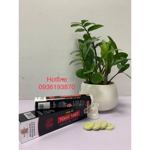 ►♟  VIÊN SỦI TOHA FAST