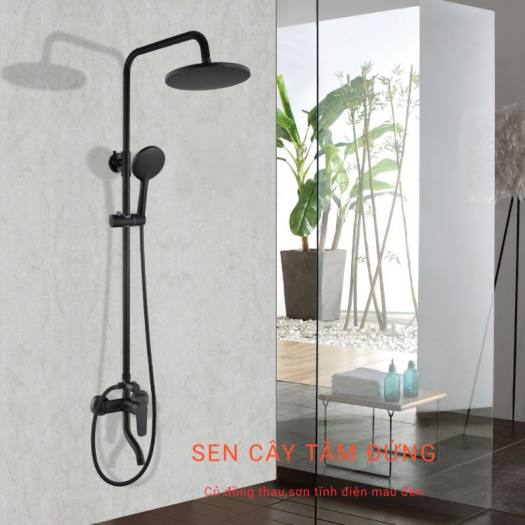 vòi sen tắm đứng nóng lạnh,cây sen tắm nóng lạnh,củ sen đồng thau,màu đen,thương hiệu MAS sang trọng,giá rẻ