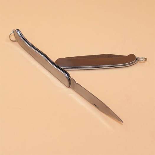 Dao Gọt Hoa Quả Trái Cây Du Lịch Gấp Gọn Mini