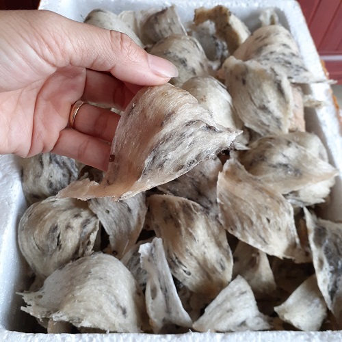 Tổ yến sào 1 tai thô. Yến sào 1 tổ thô nặng 10gr Tặng táo đỏ, đường phèn, hạt chia