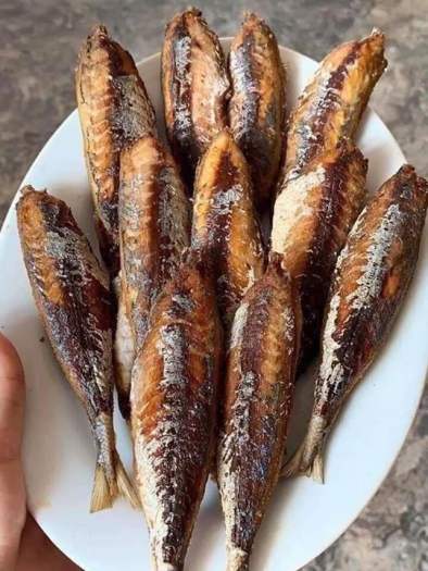 1 Kg khô cá nục ngon rẻ, Bán Giá Sỉ Chống Covid