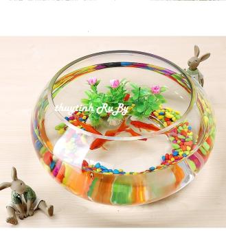 Bể Cá Thủy Tinh Để Bàn, Hồ Cá Thủy Tinh Mini T02 (D24Cm X 16Cm), Chậu Cây Thủy Sinh, Chậu Cây Cảnh