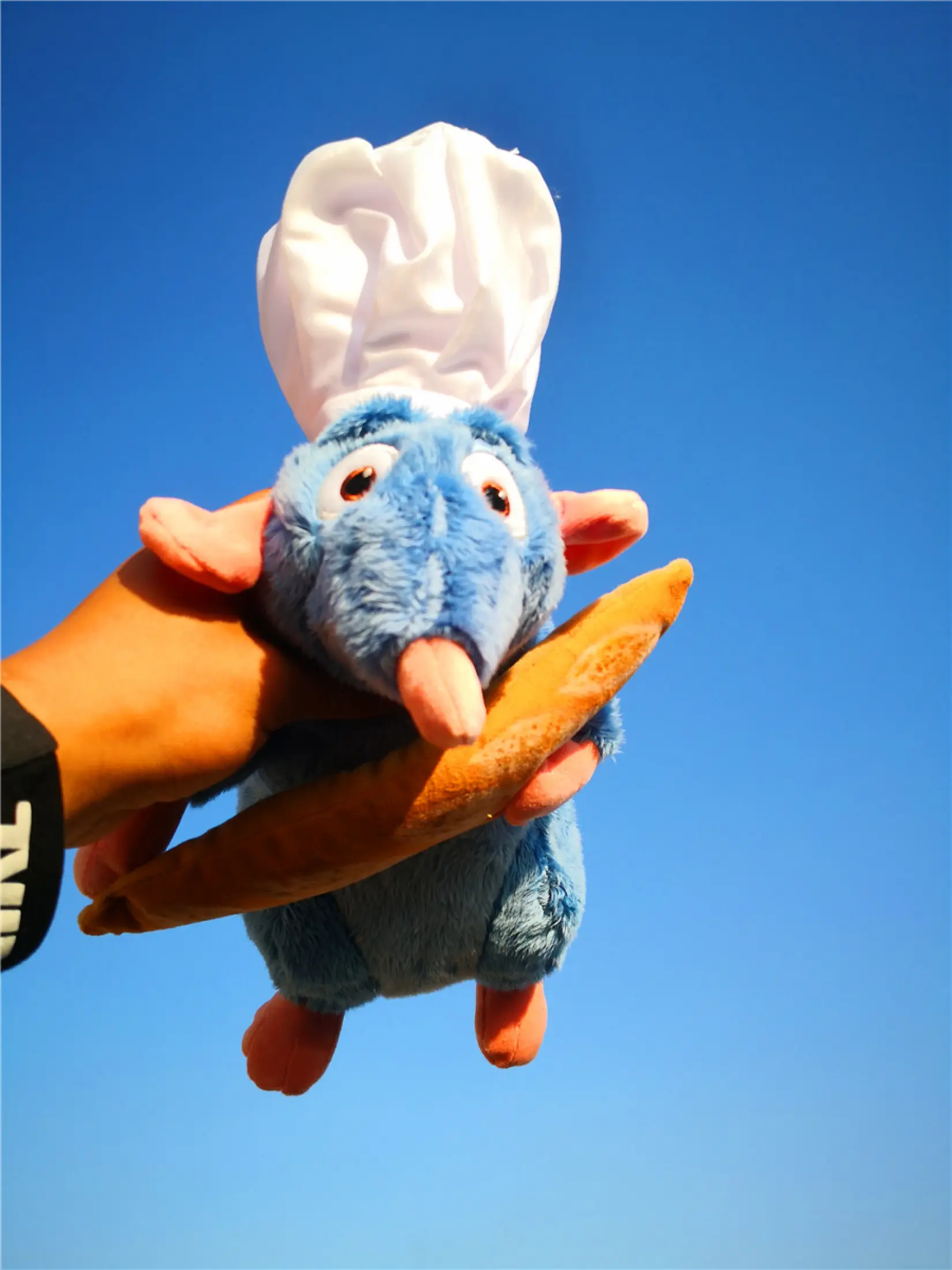 remy plush toy